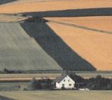 Rural Scene